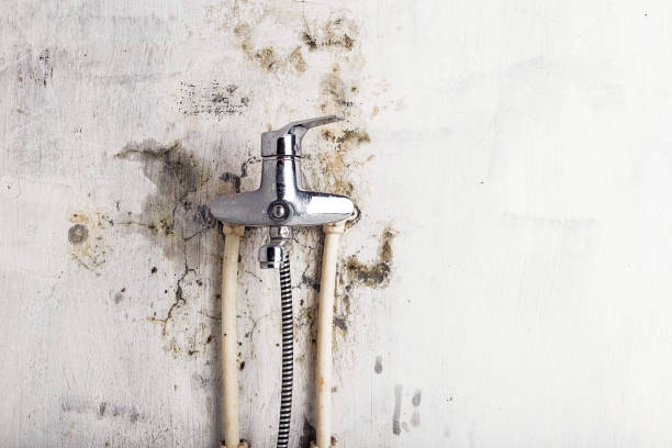 Best Mold Remediation  in West Conshohocken, PA
