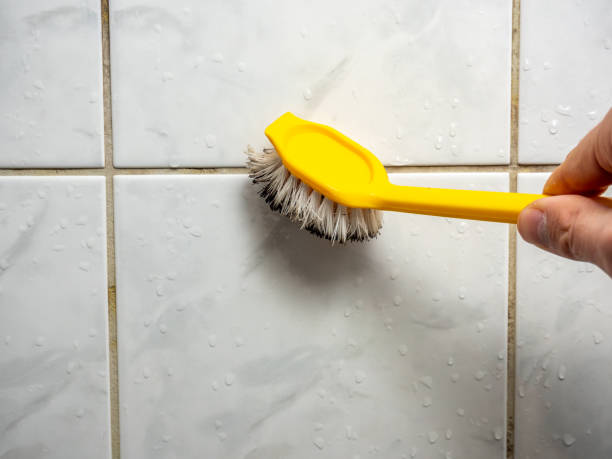 Best Black Mold Removal  in West Conshohocken, PA