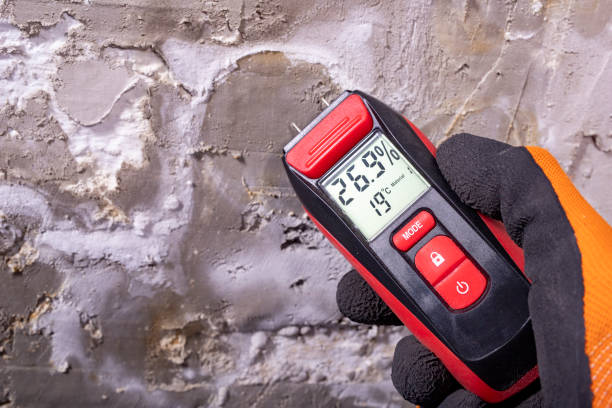 Home Mold Removal in West Conshohocken, PA