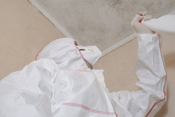 Best Crawl Space Mold Removal  in West Conshohocken, PA